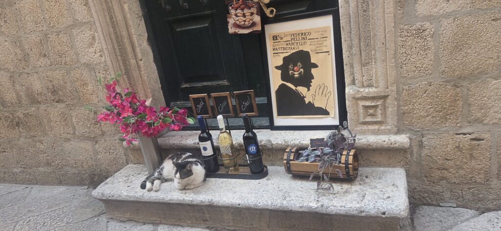 Cat resting outside Ciao restaurant in Dubrovnik Old Town