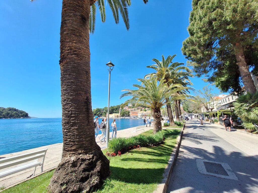 People walking along Cavtat promenade with palm trees and Adriatic Sea near Dubrovnik during a private shore excursion
