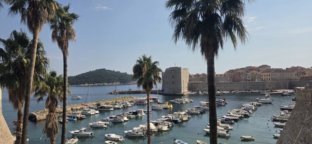 Dubrovnik Old Port with boats, palm trees and historic city walls overlooking the Adriatic