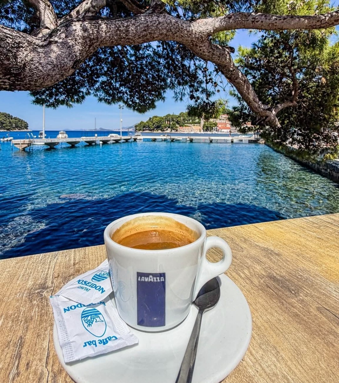 Coffee by the sea in Dubrovnik with crystal-clear Adriatic water and pine trees in the background