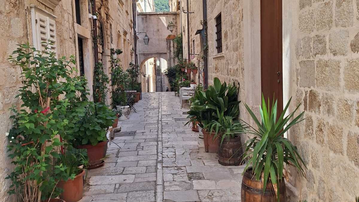 quiet street in Dubrovnik old town with stone houses and plants