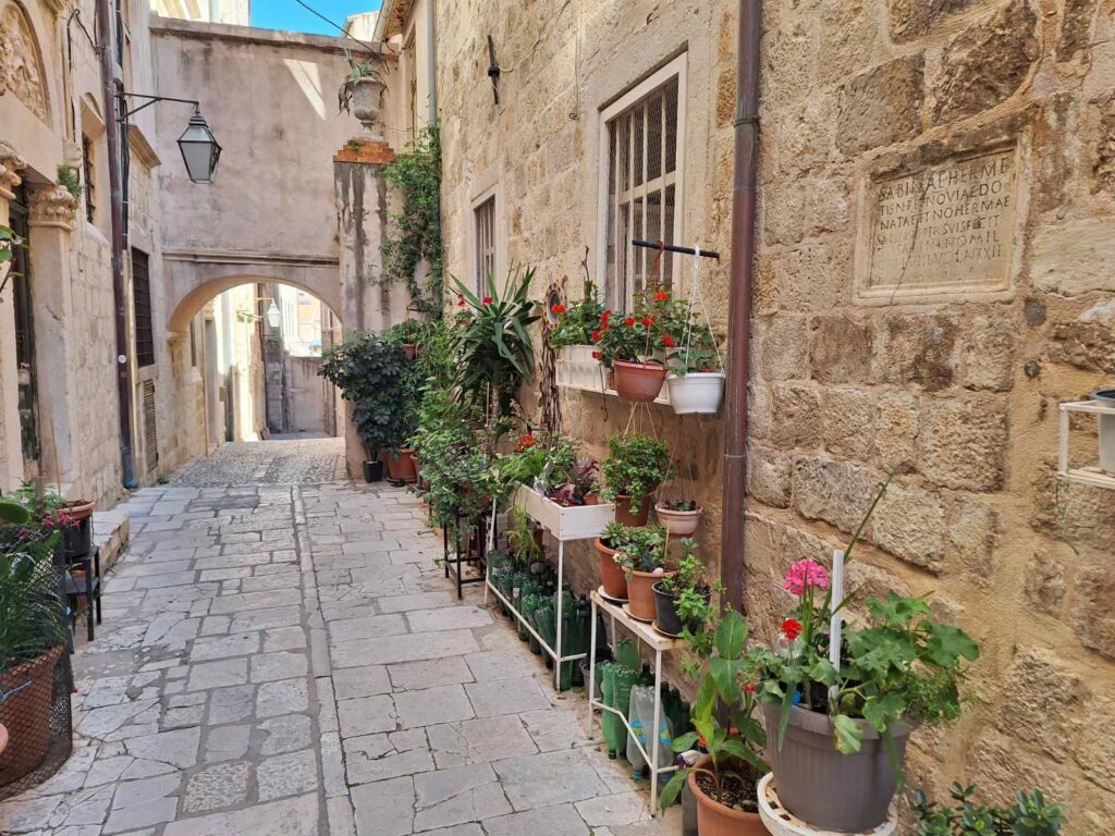 hidden streets in Dubrovnik old town with stone alley and local plants