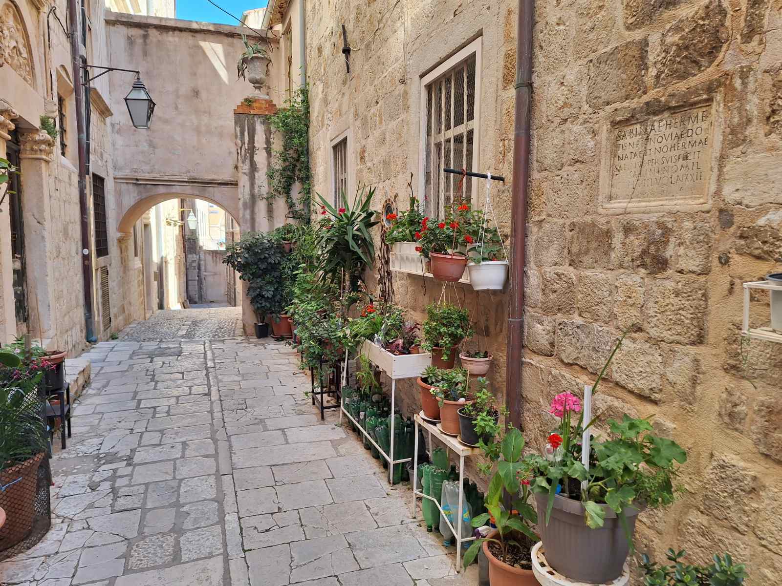 hidden streets in Dubrovnik old town with stone alley and local plants