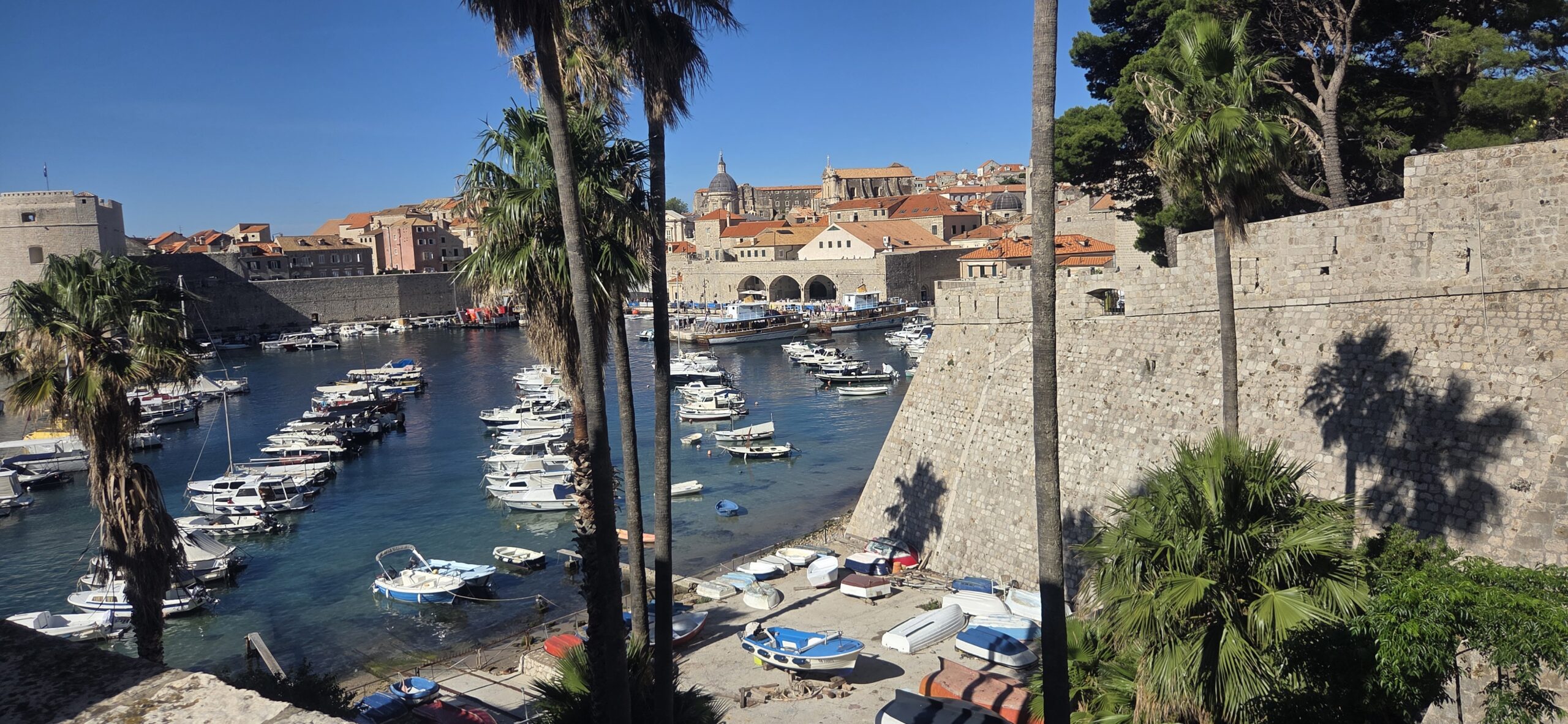 Alt text: Dubrovnik Old Port with boats, historic stone walls, palm trees, and the old city skyline Title: Dubrovnik Old Port Maritime History Caption: Dubrovnik Old Port, the historic maritime gateway of the Republic of Ragusa. Description: Panoramic view of Dubrovnik Old Port with boats, historic stone fortifications, palm trees, and the old city skyline. The harbor played a central role in the maritime trade, infrastructure, and international success of the Republic of Ragusa.
