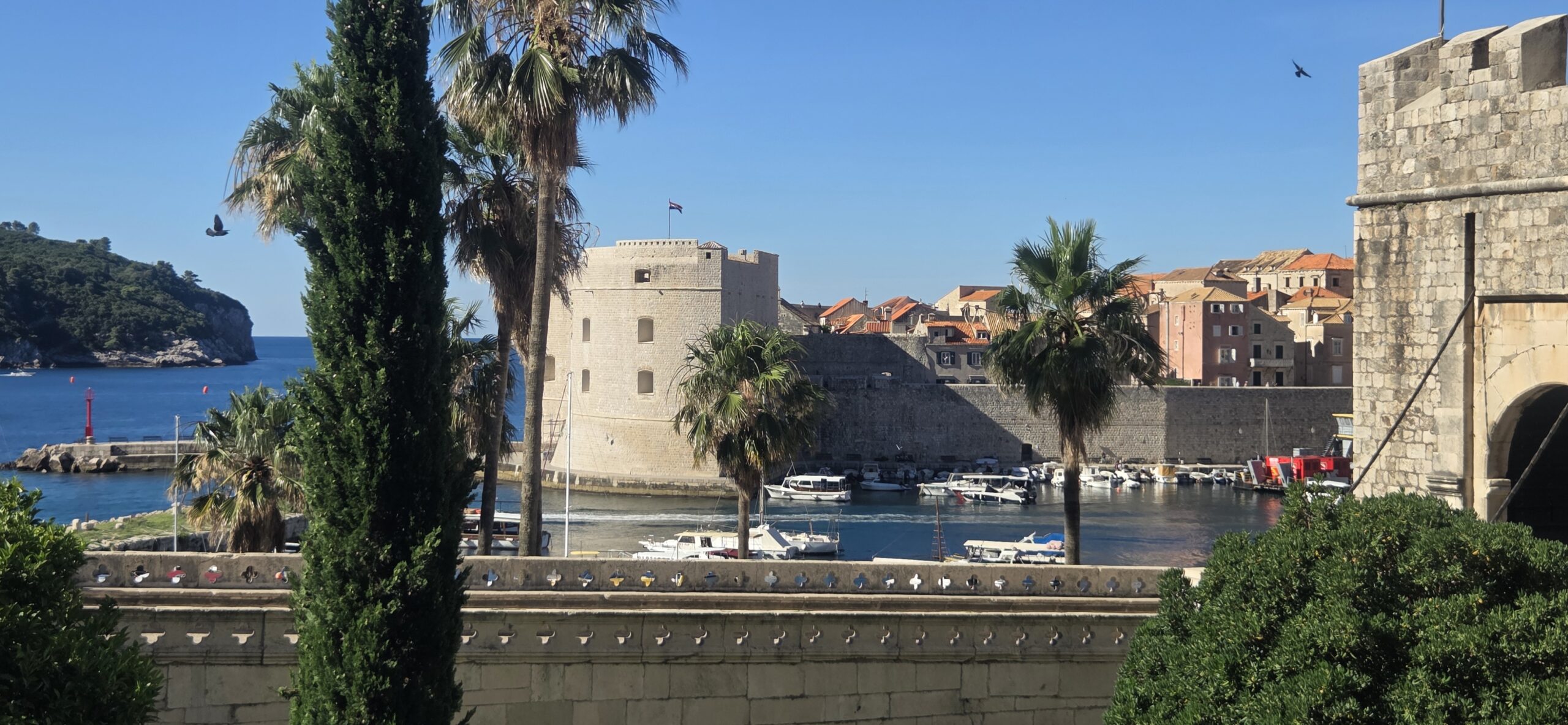 Dubrovnik early morning walking tour with a quiet view of the Old Port, city walls, palm trees, and blue sea before the crowds arrive