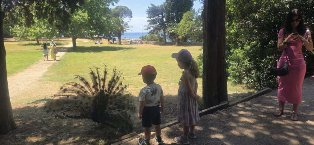 Children watching a peacock during a family-friendly private tour near Dubrovnik