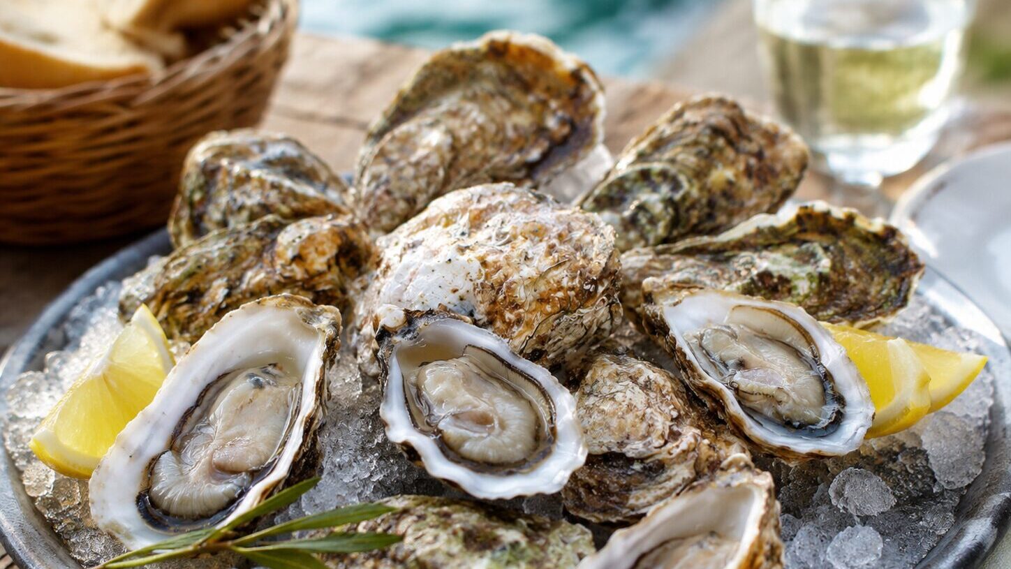 Fresh Mali Ston oysters served on ice with lemon