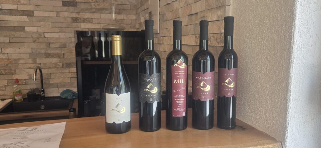 Pelješac wine bottles during a local wine tasting near Ston