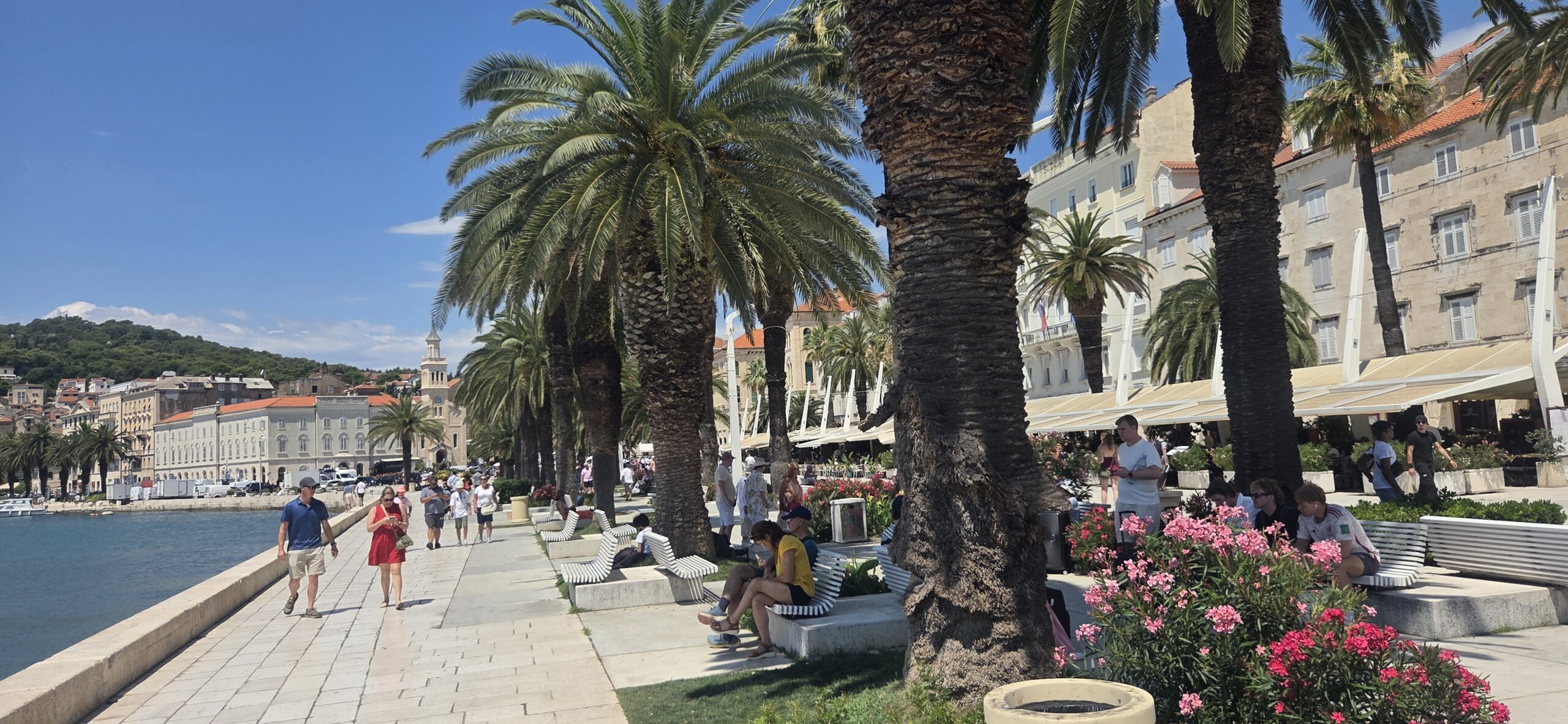 Split Riva promenade with palm trees, historic buildings and Adriatic seafront on a sunny day