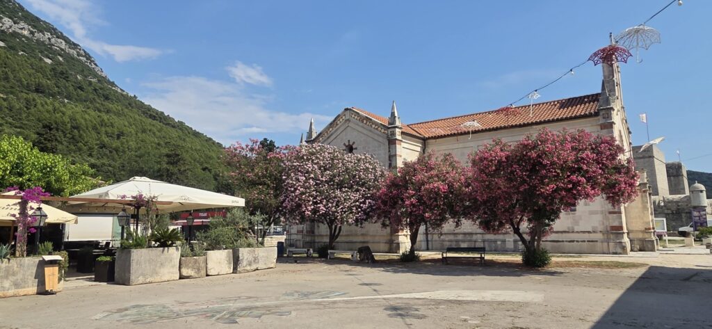 Ston day trip from Dubrovnik with stone church, flowers and mountain scenery
