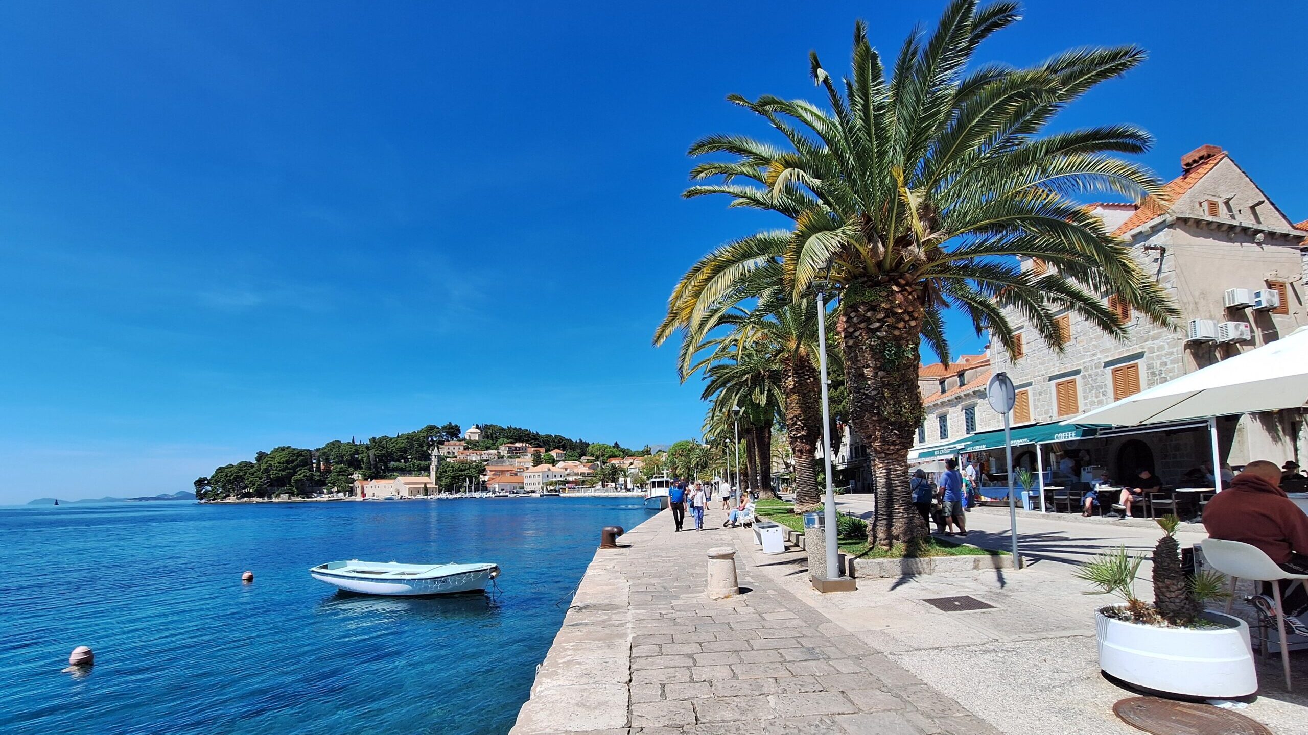 Cavtat waterfront promenade with palm trees and the Adriatic Sea near Dubrovnik