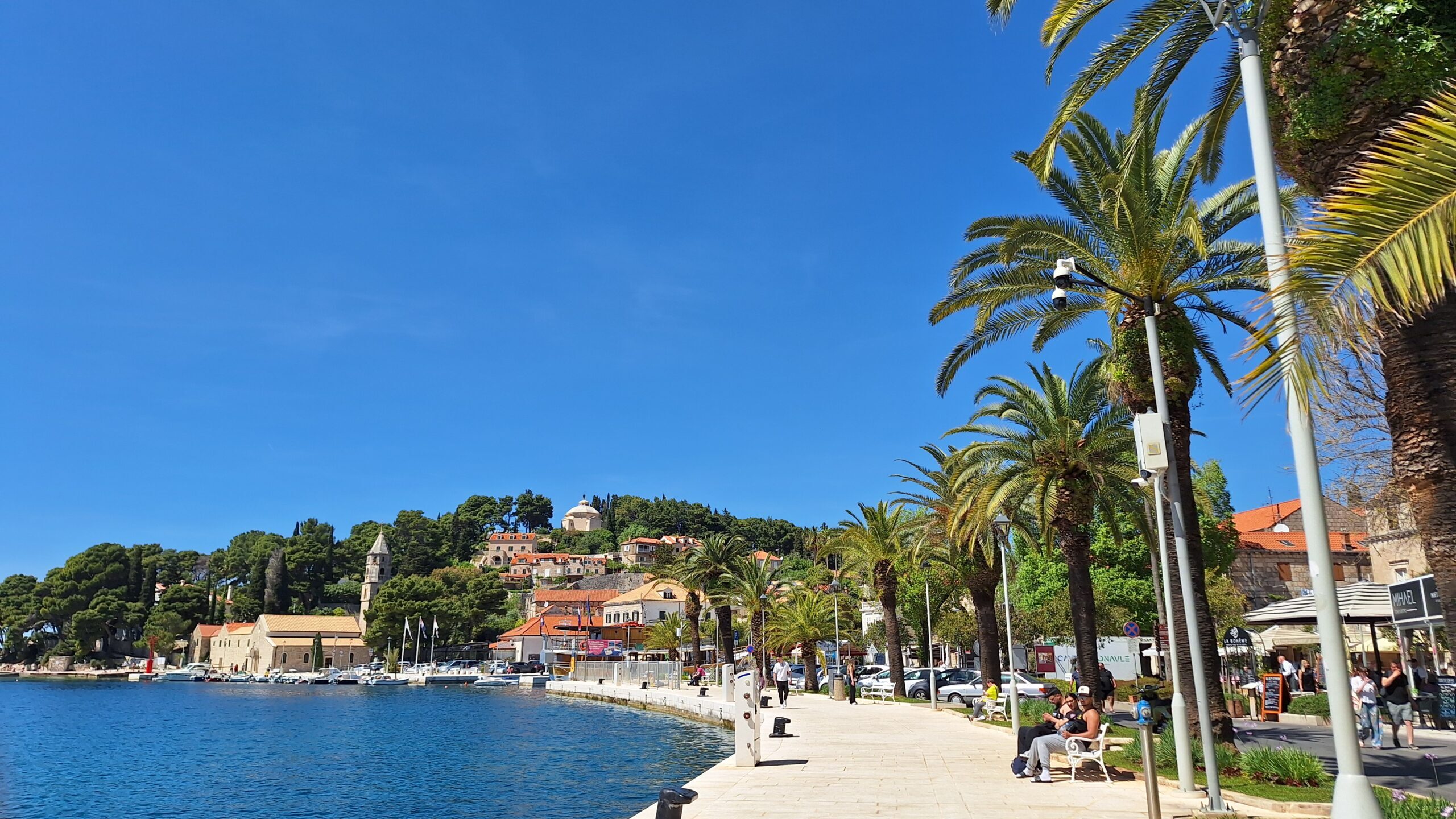 Cavtat waterfront promenade lined with palm trees beside the Adriatic Sea