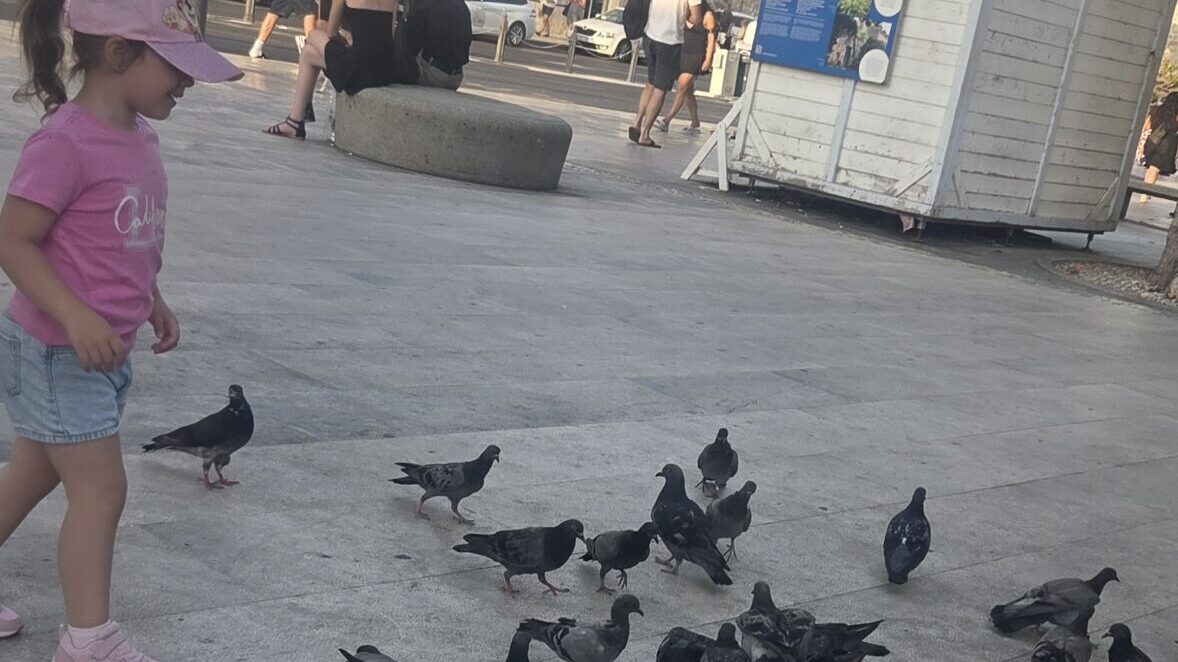 Young child watching pigeons in Dubrovnik Old Town