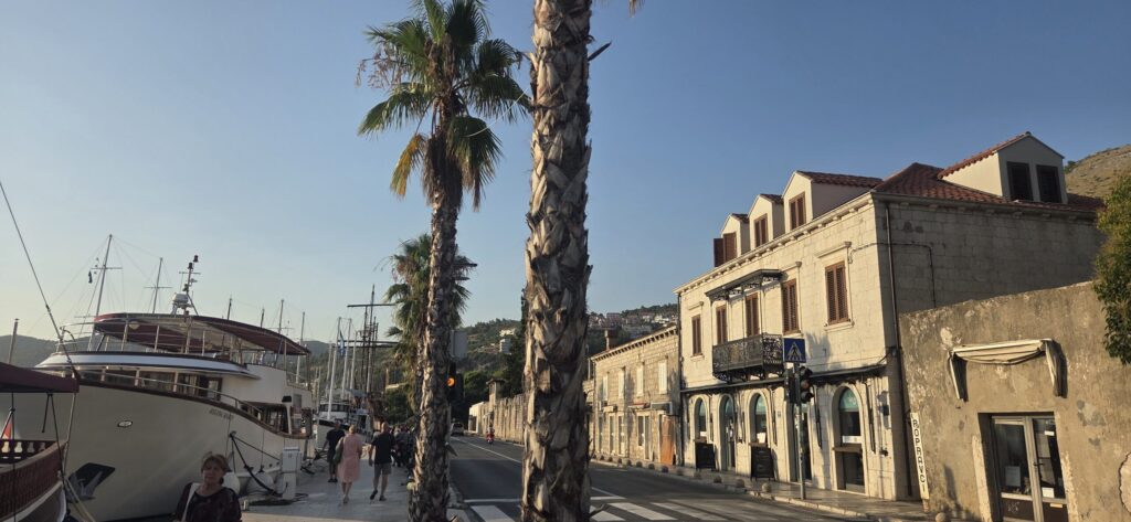 Gruž waterfront with palm trees, boats and traditional stone buildings in residential Dubrovnik